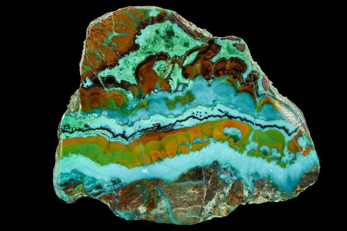 Polished Chrysocolla & Plume Malachite - Bagdad Mine, Arizona #107402